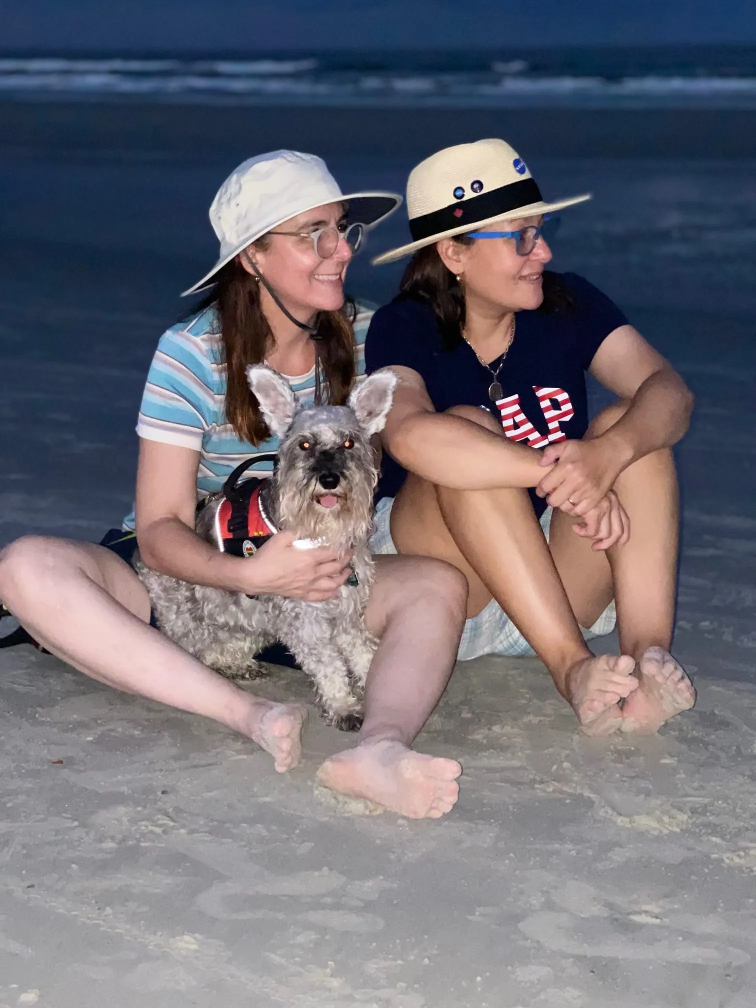 About Us | Alejandria Pet Service